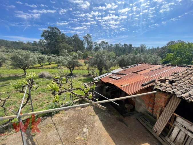 Moradia T3 para Venda em Sarzedo Foto 17