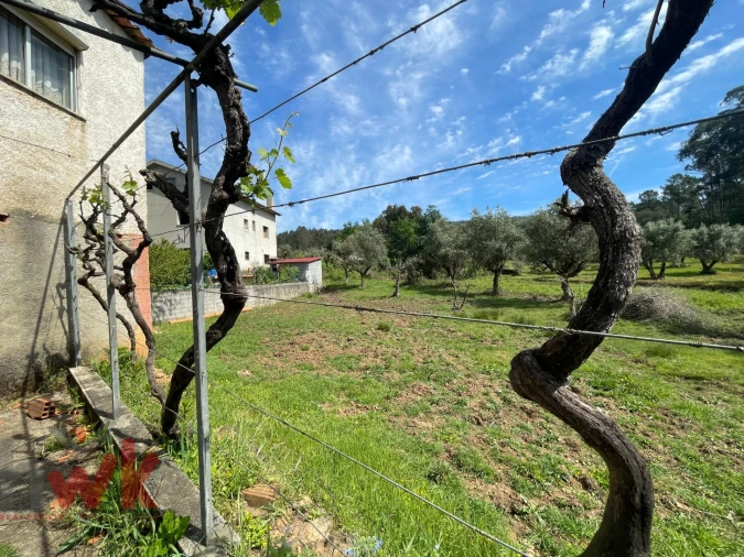 Moradia T3 para Venda em Sarzedo Foto 21