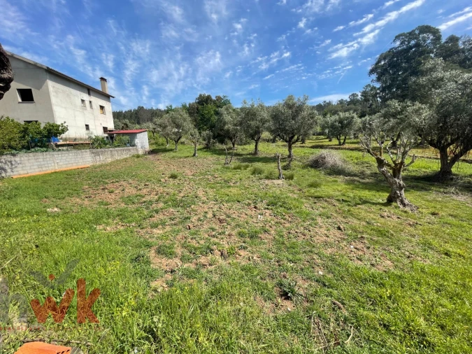 Moradia T3 para Venda em Sarzedo Foto 22