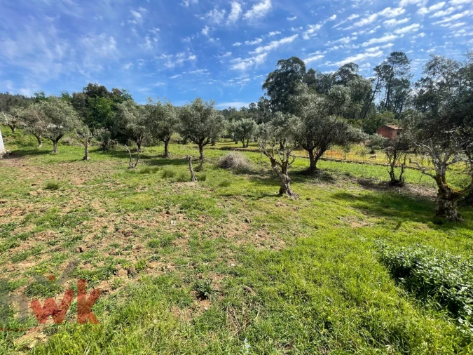 Moradia T3 para Venda em Sarzedo Foto 23