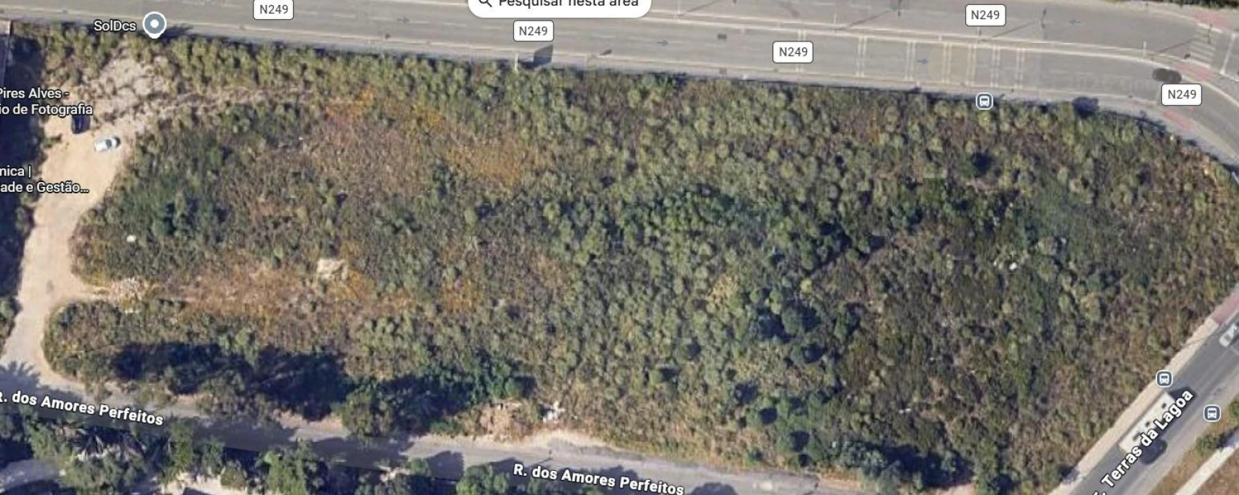 Terreno Agricola ou Rústico para Venda em Agualva e Mira-Sintra Foto 3