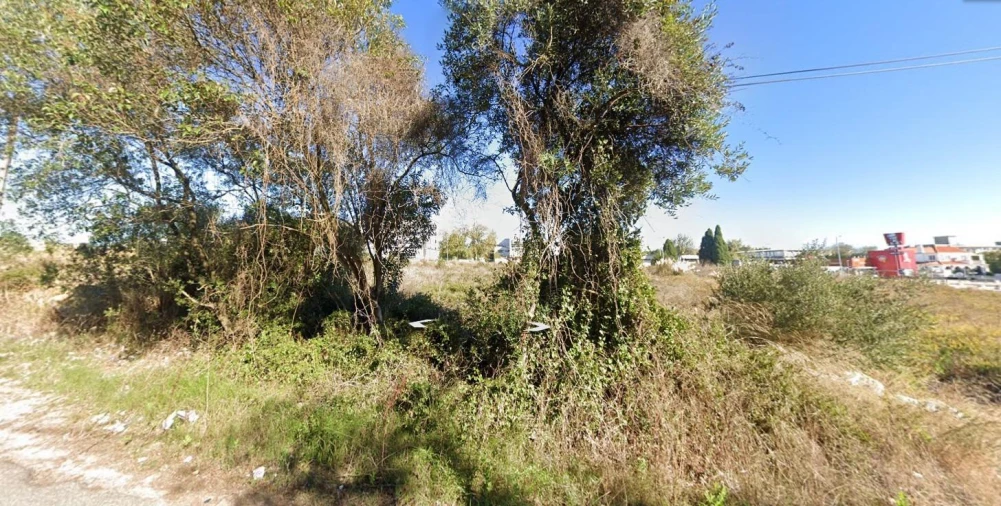 Terreno Agricola ou Rústico para Venda em Agualva e Mira-Sintra Foto 6