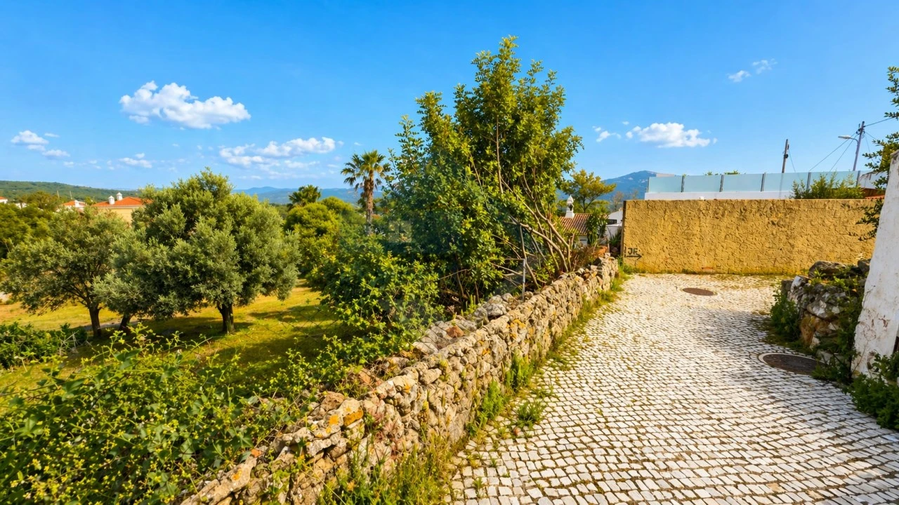 Terreno para Venda em Querença, Tôr e Benafim Foto 7