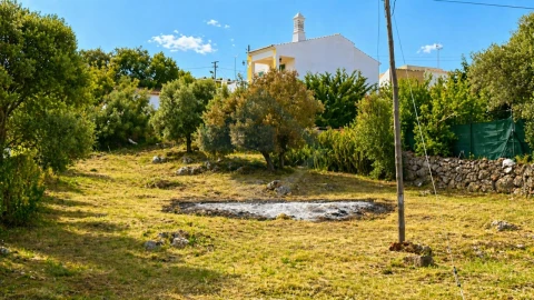 Terreno para Venda em Querença, Tôr e Benafim