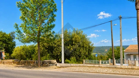 Terreno para Venda em Querença, Tôr e Benafim