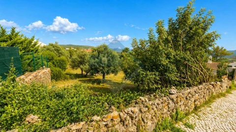 Terreno para Venda em Querença, Tôr e Benafim
