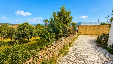 Terreno para Venda em Querença, Tôr e Benafim