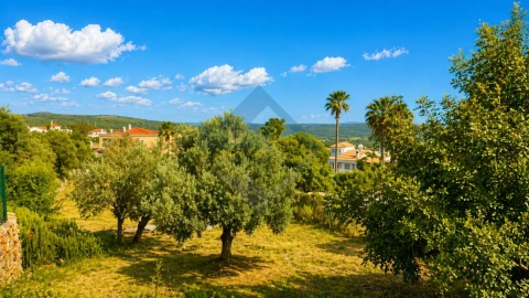 Terreno para Venda em Querença, Tôr e Benafim
