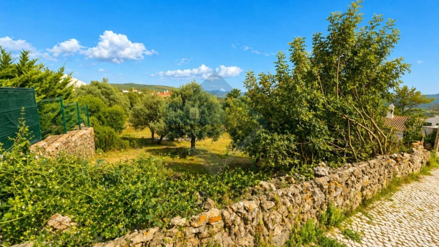 Terreno para Venda em Querença, Tôr e Benafim Foto 6