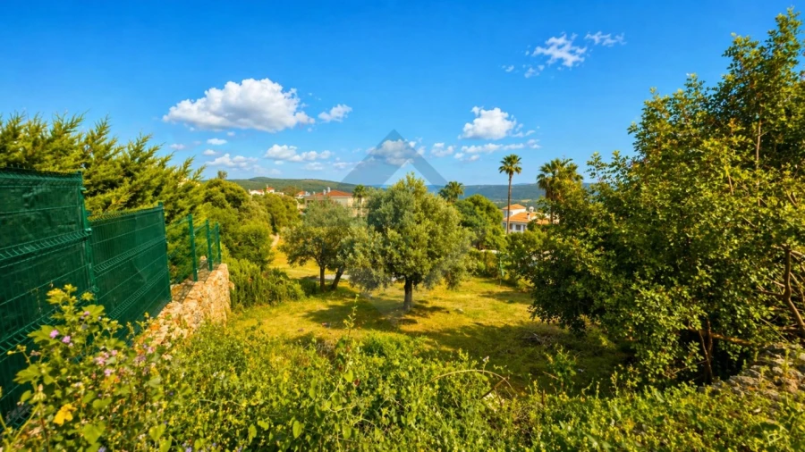 Terreno para Venda em Querença, Tôr e Benafim Foto 8