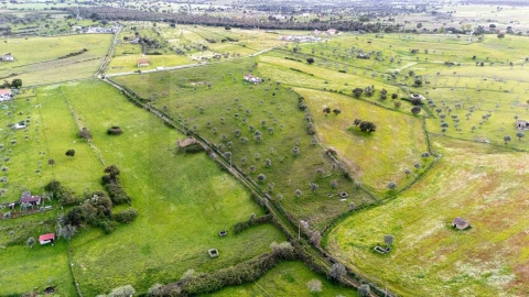 Terreno para Venda em Espírito Santo, Nossa Senhora da Graça e São Simão