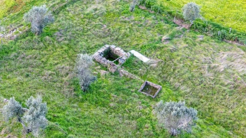 Terreno para Venda em Espírito Santo, Nossa Senhora da Graça e São Simão