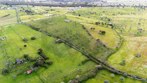 Terreno para Venda em Espírito Santo, Nossa Senhora da Graça e São Simão