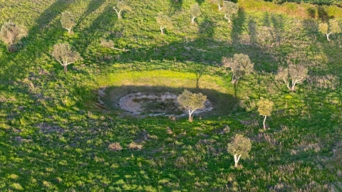Terreno para Venda em Espírito Santo, Nossa Senhora da Graça e São Simão