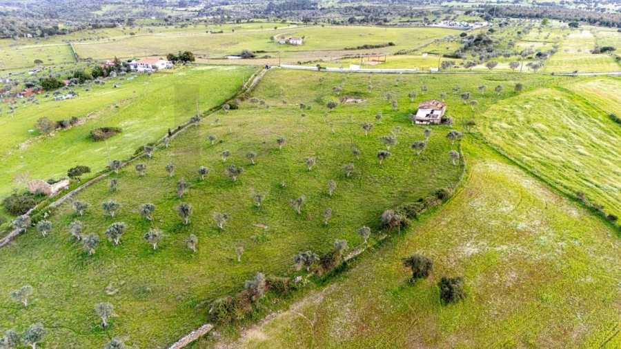 Terreno para Venda em Espírito Santo, Nossa Senhora da Graça e São Simão Foto 11