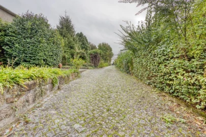 Quinta T3 para Venda em Paredes