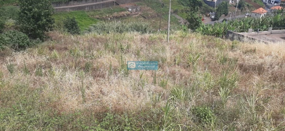 Terreno para Venda em Canhas