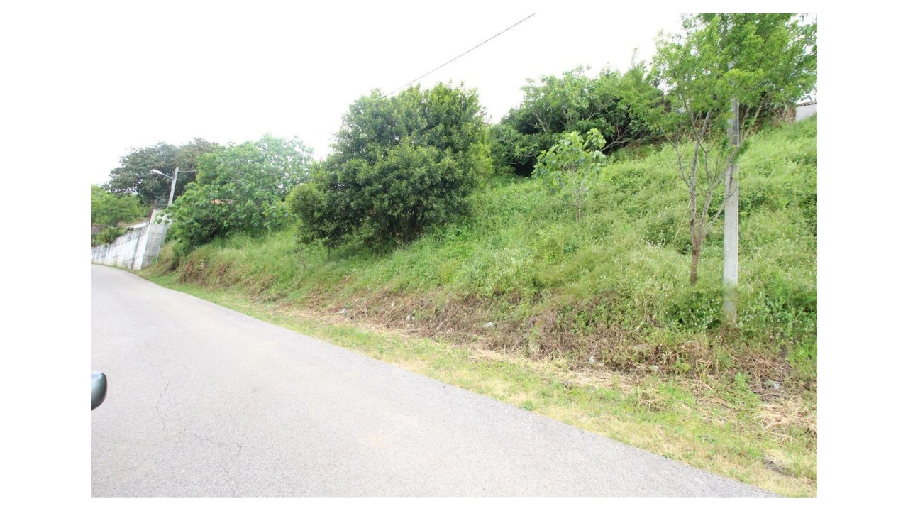 Terreno para Venda em Assafarge e Antanhol Foto 2