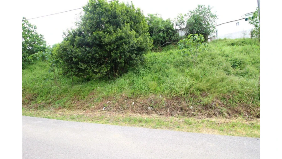 Terreno para Venda em Assafarge e Antanhol