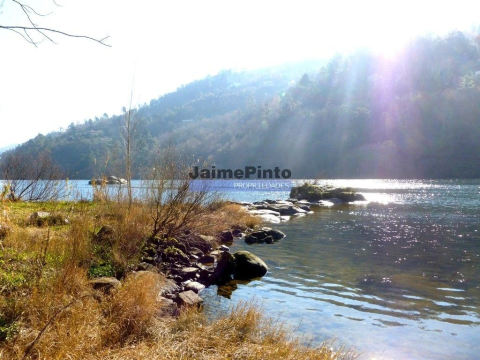 Terreno P/ Prédio para Venda em Eja Foto 3
