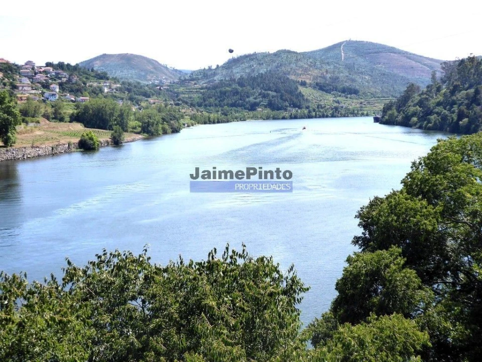 Terreno P/ Prédio para Venda em Eja Foto 5
