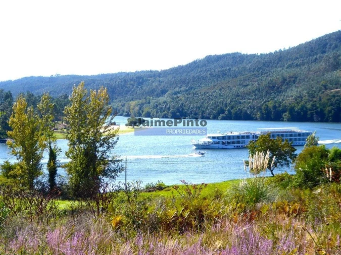 Terreno P/ Prédio para Venda em Eja Foto 6