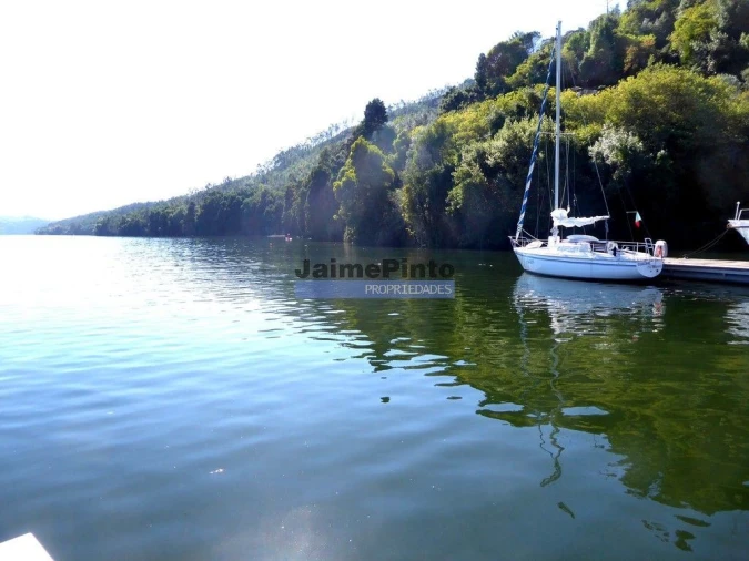 Terreno P/ Prédio para Venda em Eja Foto 7