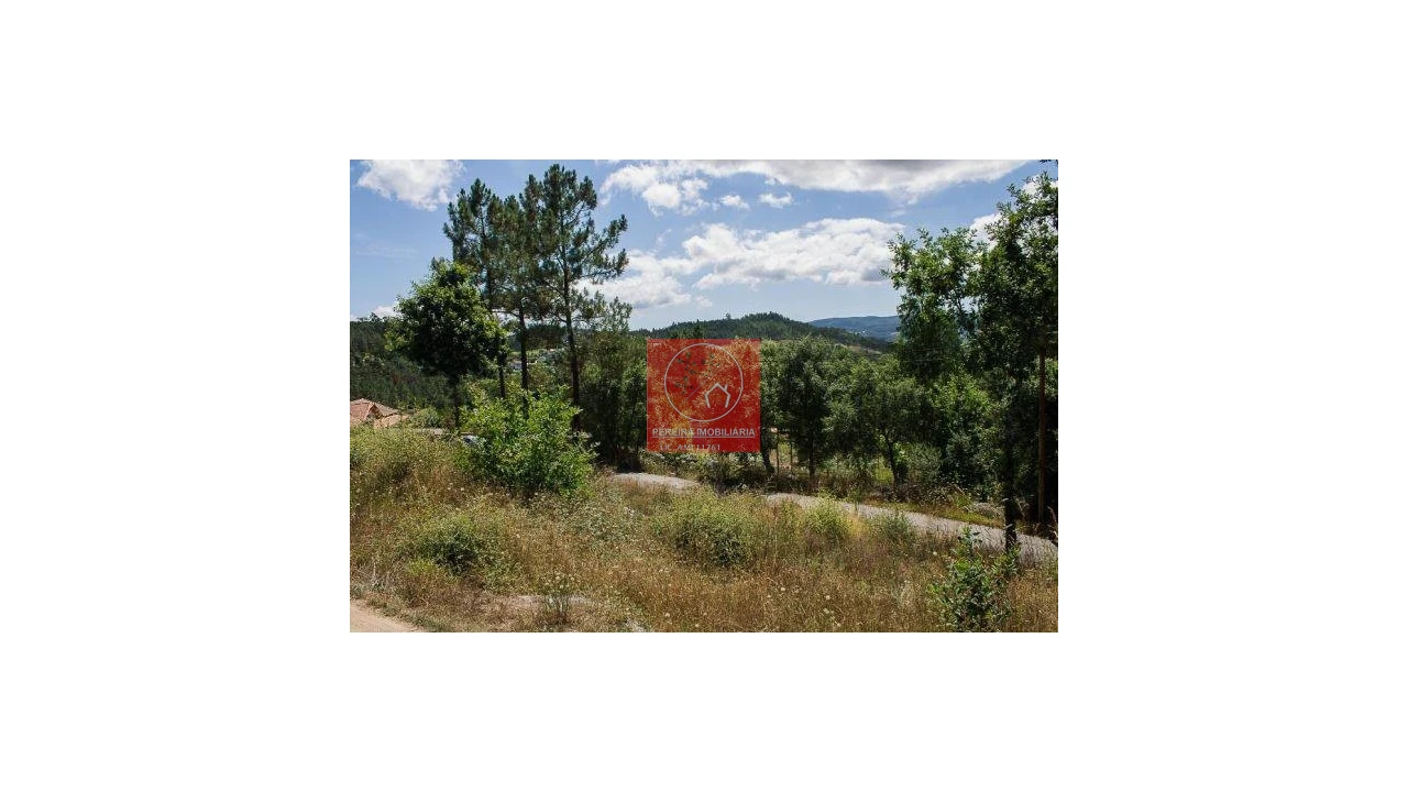 Terreno para Venda em Poiares Foto 4