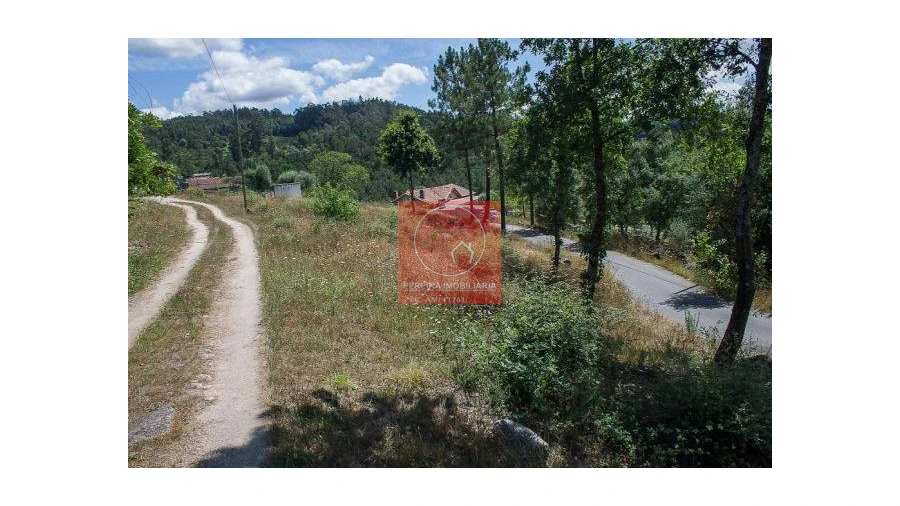 Terreno para Venda em Poiares Foto 2