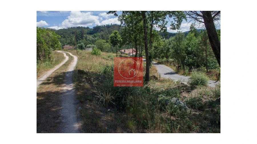 Terreno para Venda em Poiares Foto 5