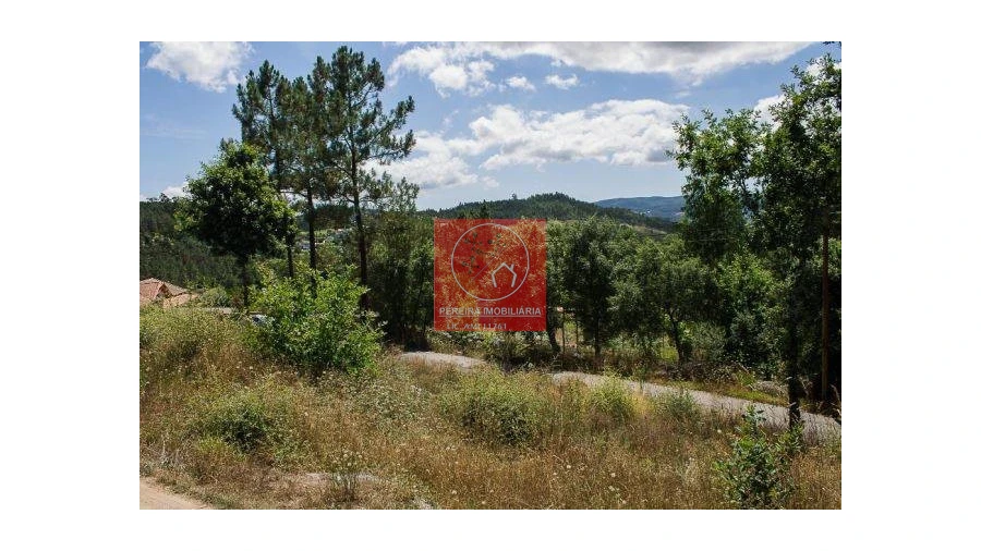 Terreno para Venda em Poiares Foto 3