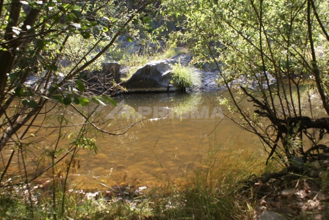 Terreno para Venda em Freixial e Juncal do Campo Foto 5