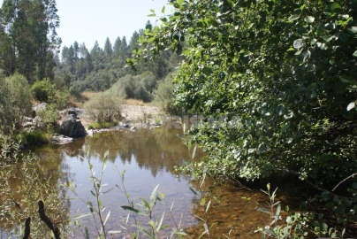 Terreno para Venda em Freixial e Juncal do Campo
