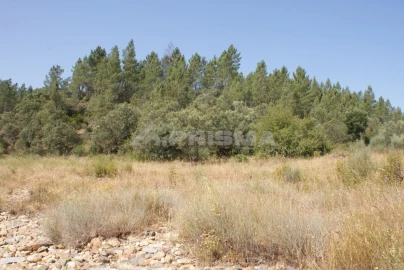 Terreno para Venda em Freixial e Juncal do Campo