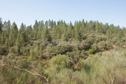 Terreno para Venda em Freixial e Juncal do Campo