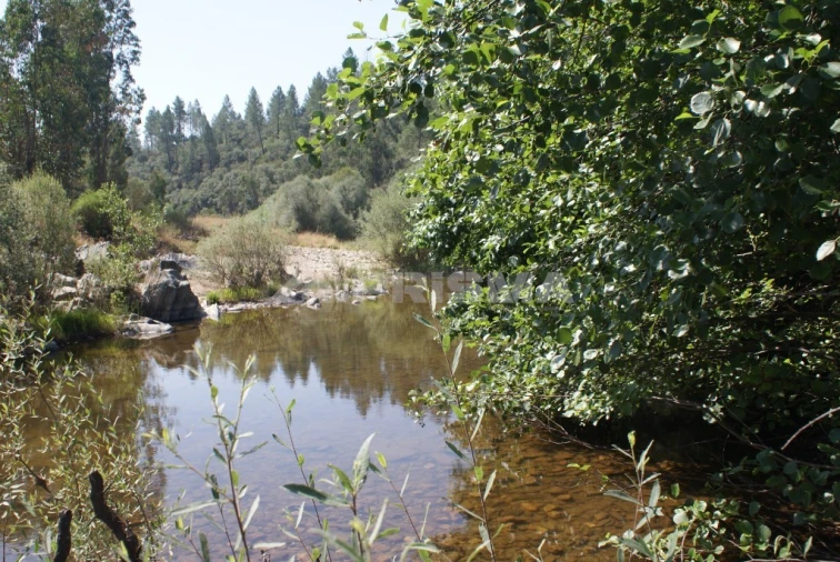 Terreno para Venda em Freixial e Juncal do Campo Foto 4