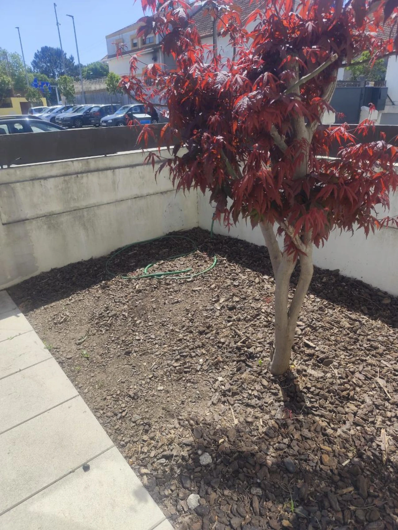 Moradia T2 para Arrendamento em Lordelo do Ouro e Massarelos Foto 10