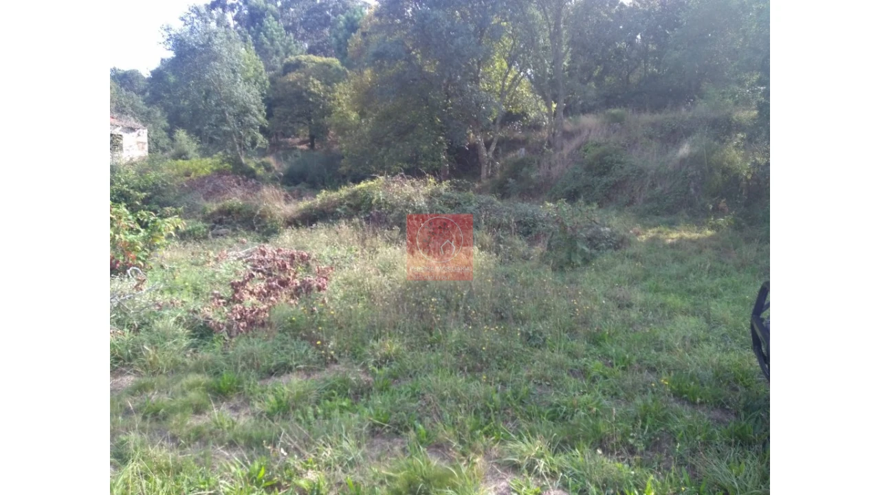 Quinta T1 para Venda em Antas Foto 5