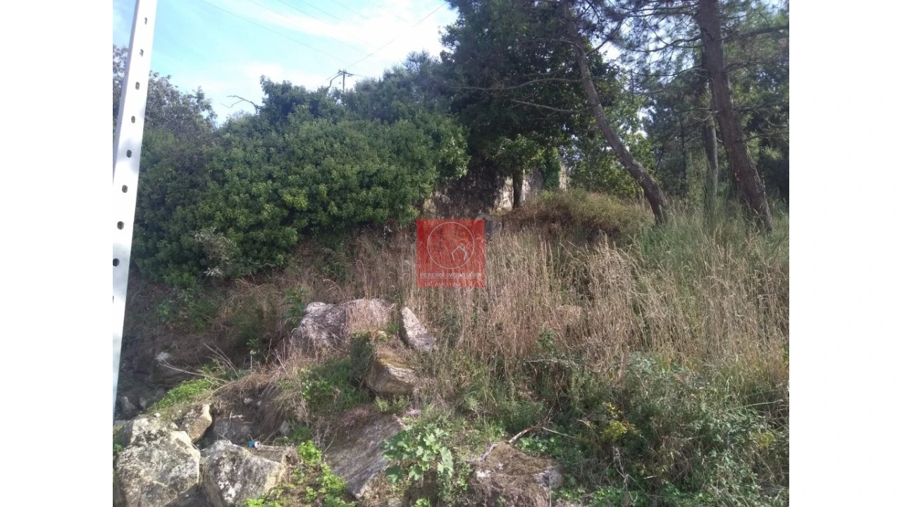 Quinta T1 para Venda em Antas Foto 10