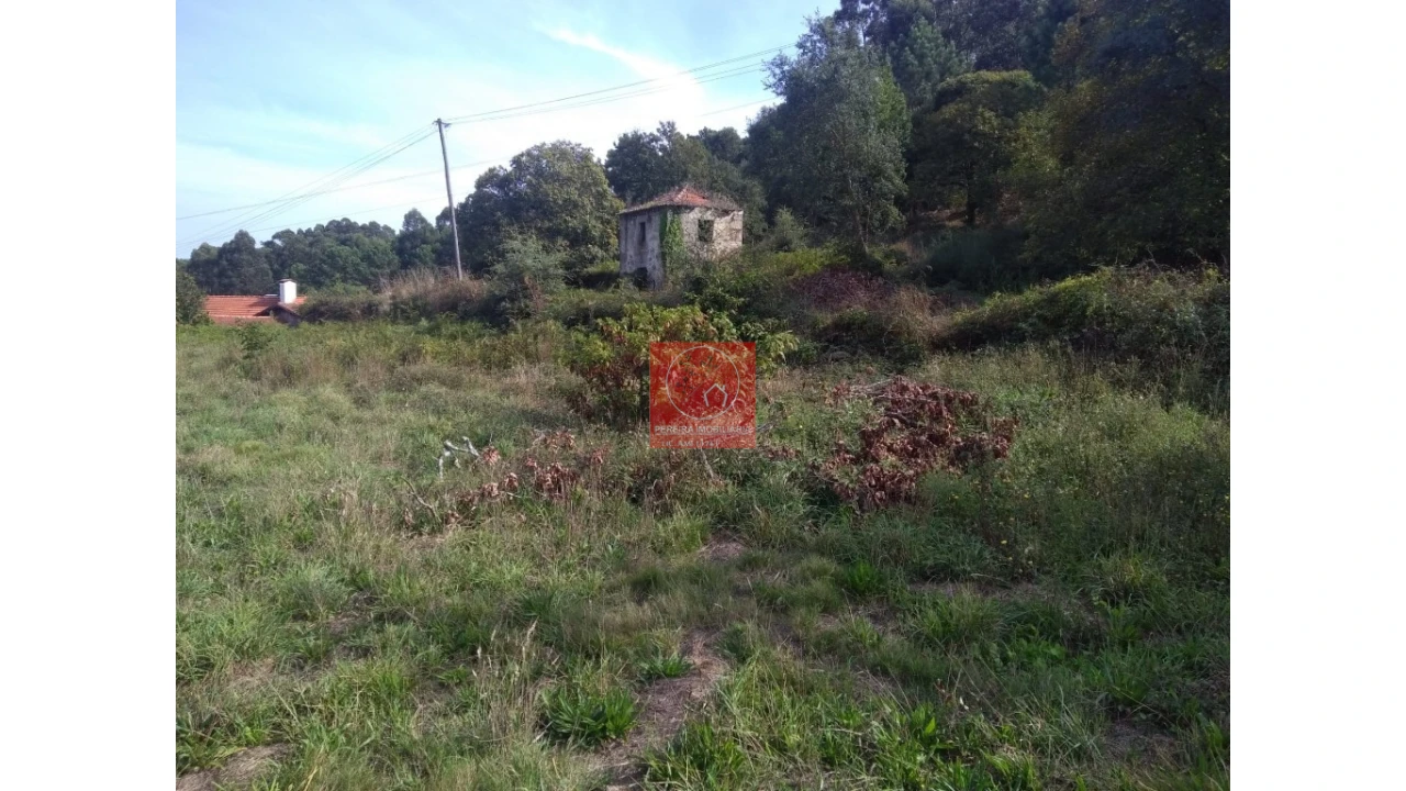 Quinta T1 para Venda em Antas Foto 1