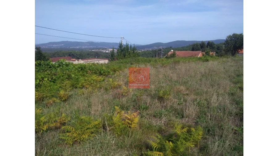 Quinta T1 para Venda em Antas Foto 4