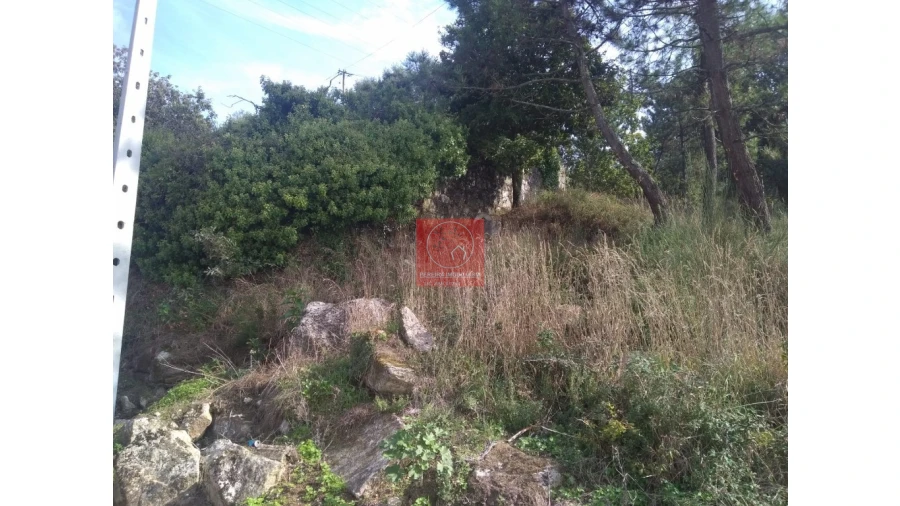 Quinta T1 para Venda em Antas Foto 10