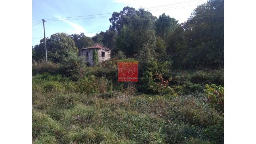 Quinta T1 para Venda em Antas Foto 6