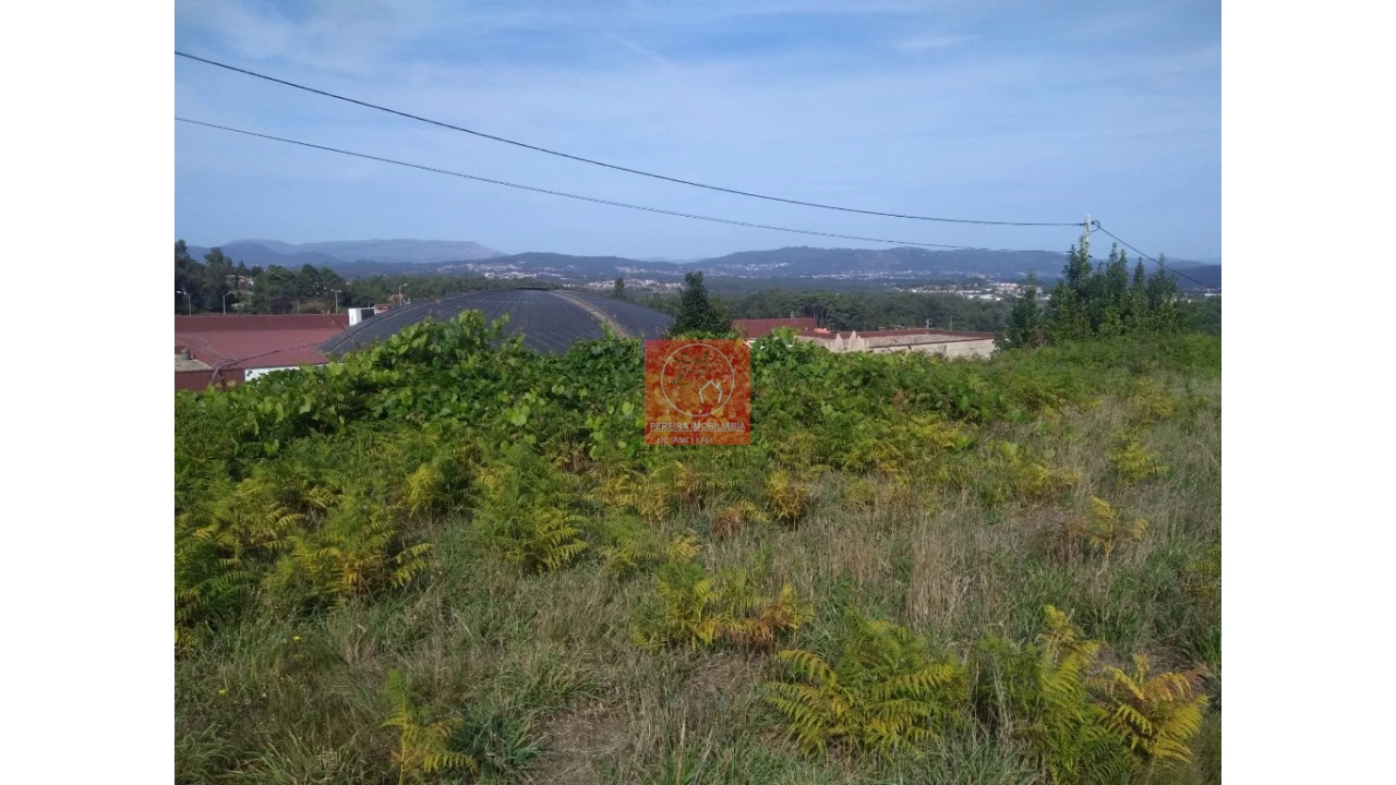 Quinta T1 para Venda em Antas Foto 13