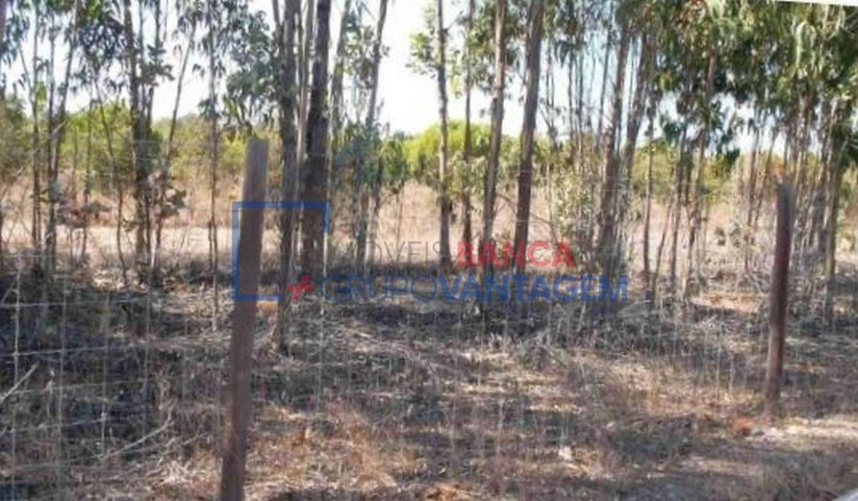 Terreno Agricola ou Rústico para Venda em São Teotónio Foto 1