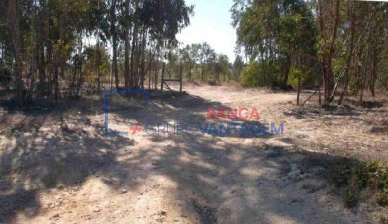 Terreno Agricola ou Rústico para Venda em São Teotónio Foto 2