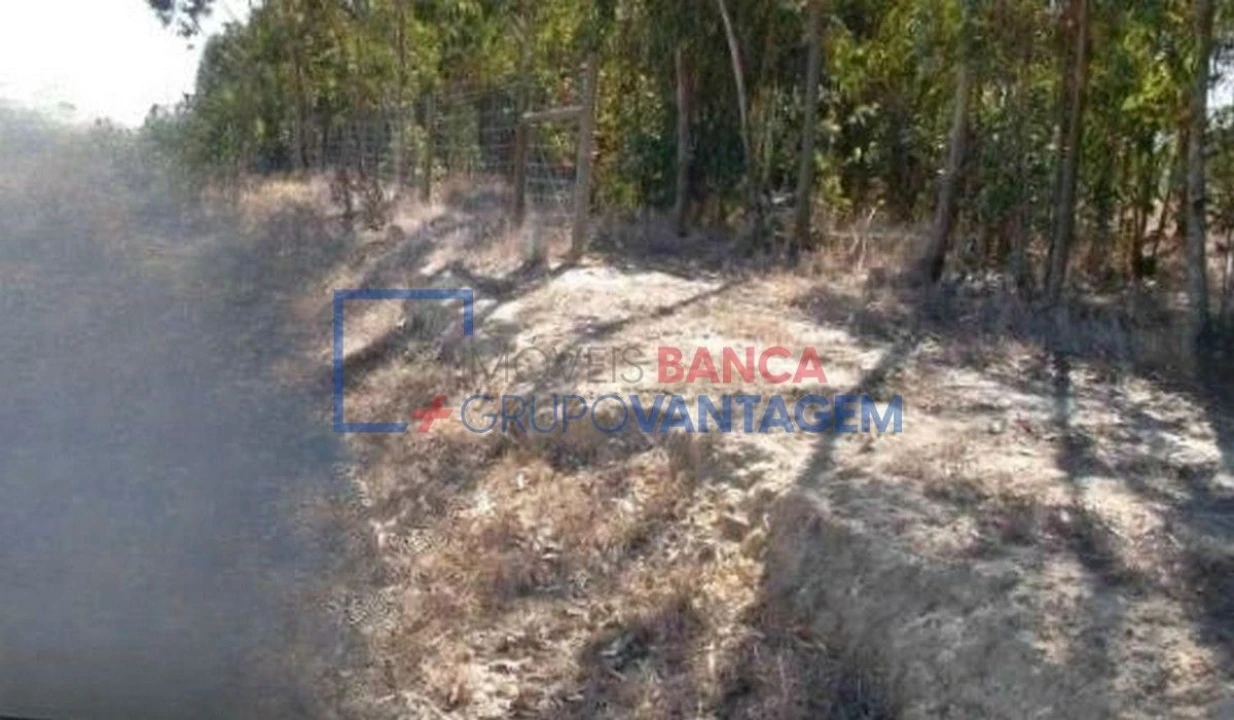 Terreno Agricola ou Rústico para Venda em São Teotónio Foto 11