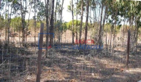Terreno Agricola ou Rústico para Venda em São Teotónio