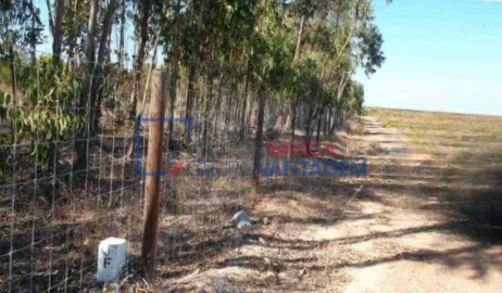 Terreno Agricola ou Rústico para Venda em São Teotónio
