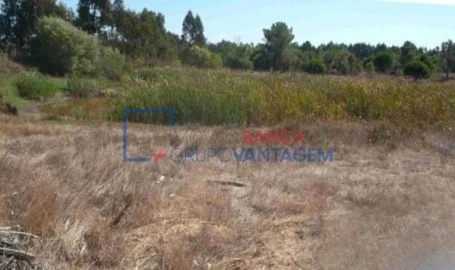 Terreno Agricola ou Rústico para Venda em São Teotónio